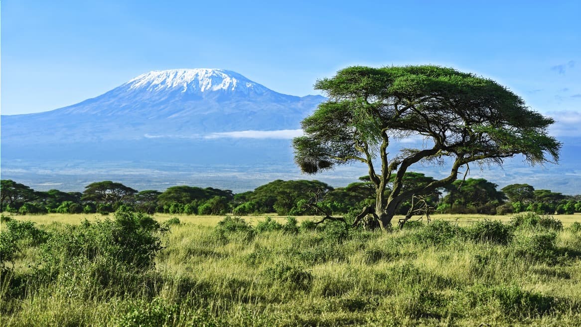 Machame Route : 6 jours / 5 nuits dans la montagne