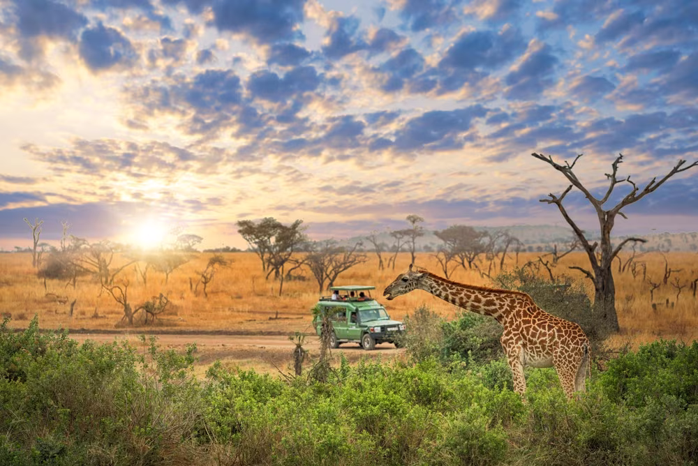 Wesentliche Highlights von Tanzanie