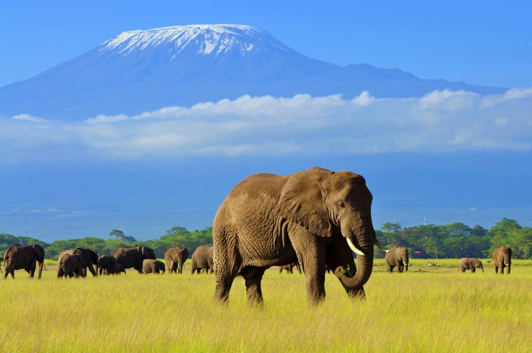 Besteigung des Mount Kenya und des Kilimandscharo