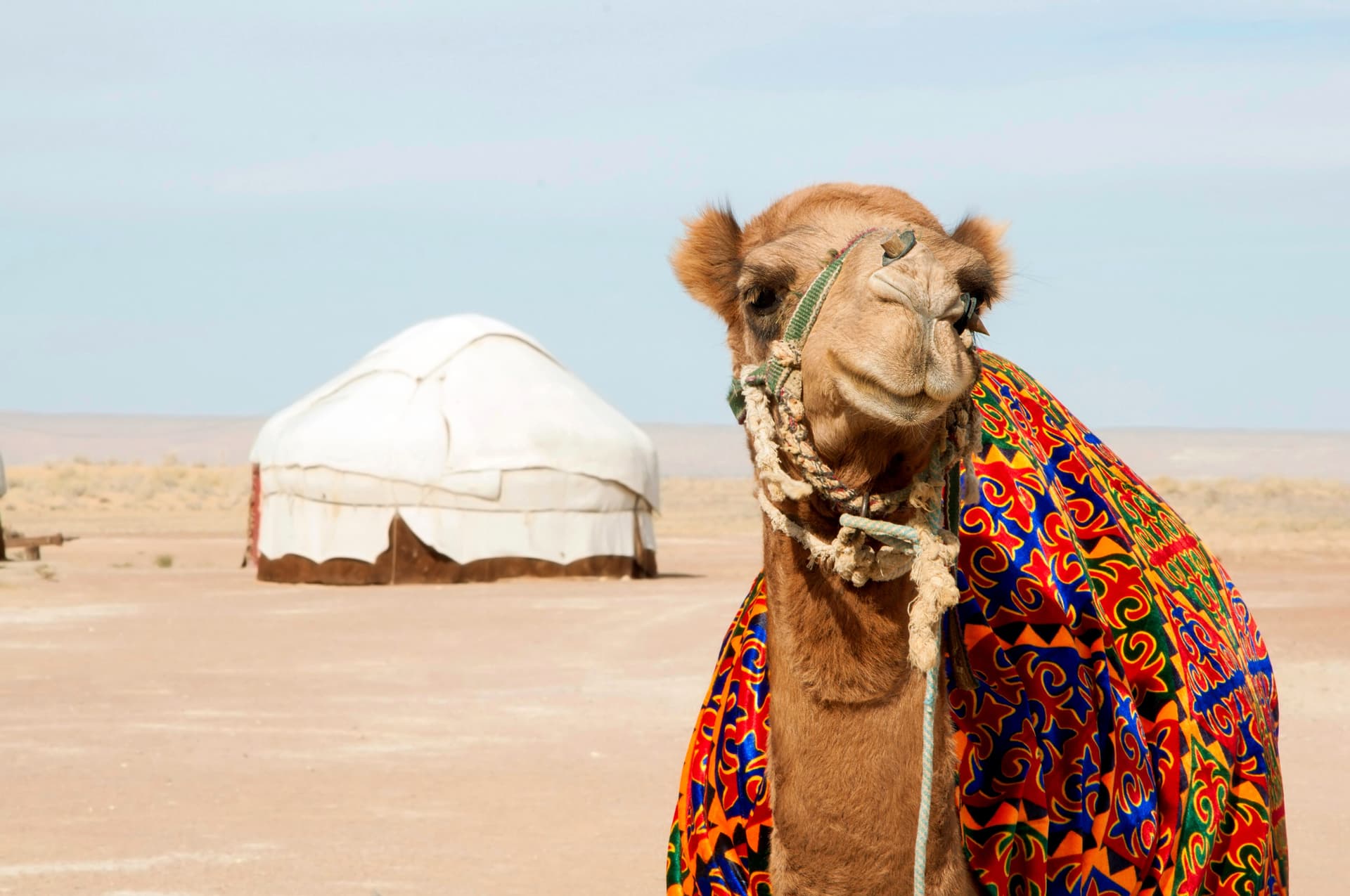 Les merveilles de la Route de la Soie: Ouzbékistan et Kirghizistan