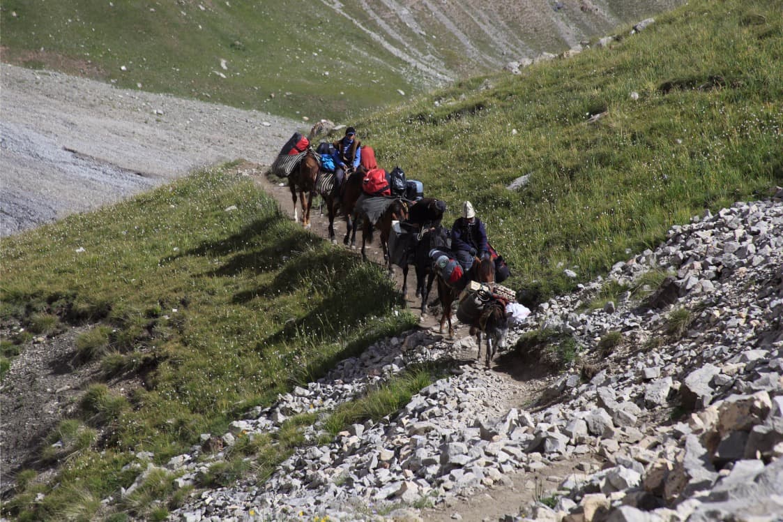 Trek et cheval