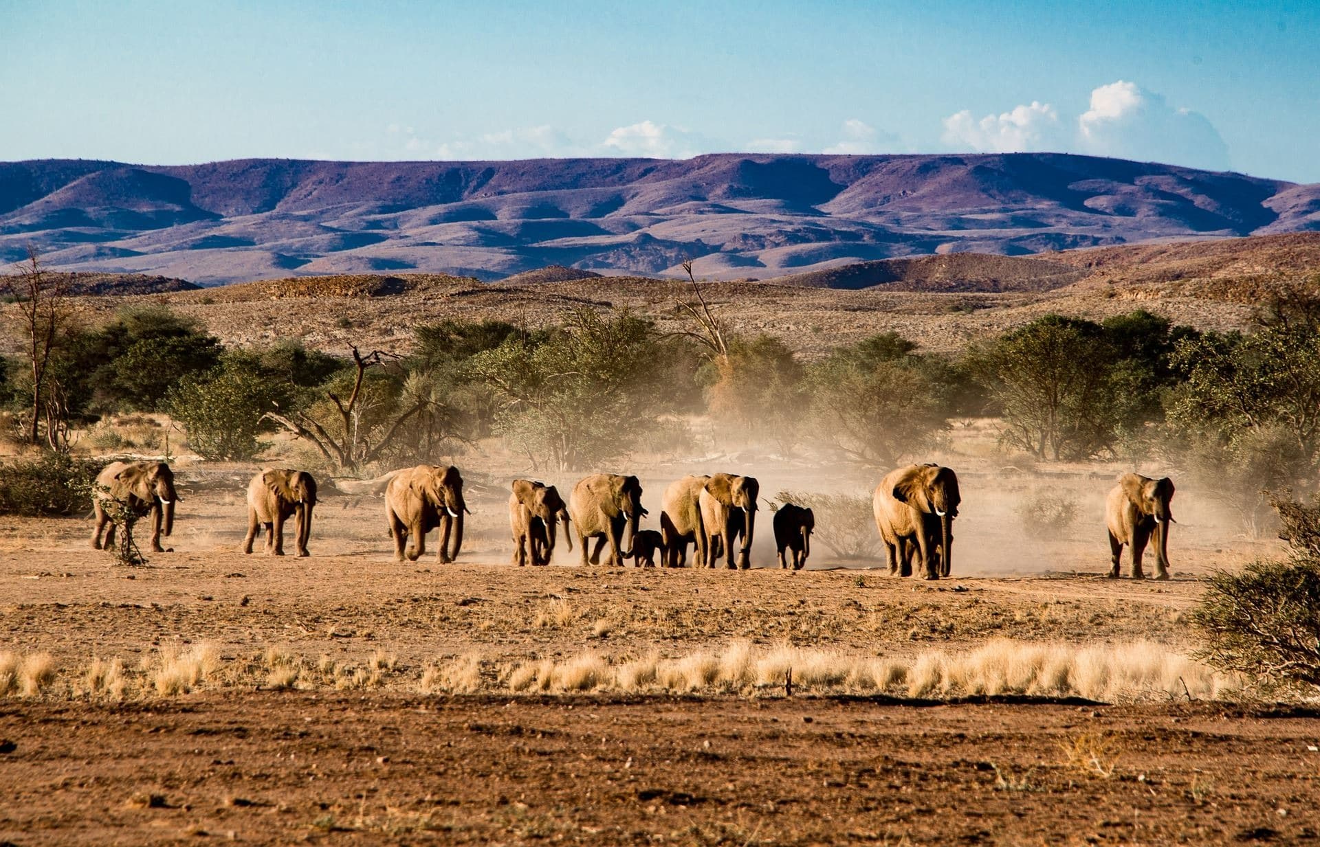 Namibia im privaten 4x4 — Komfort