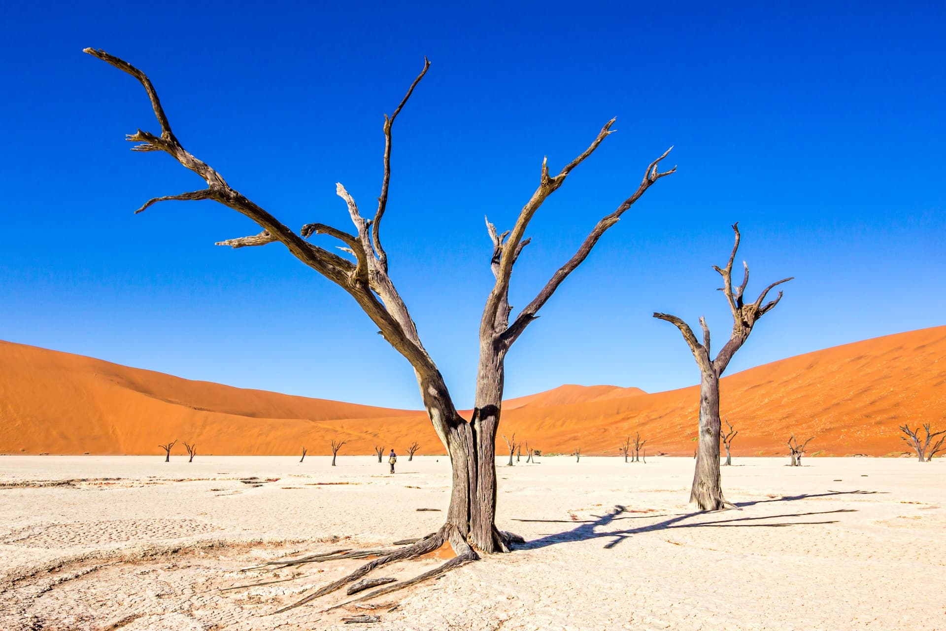 Im Herzen der Namib-Wüste