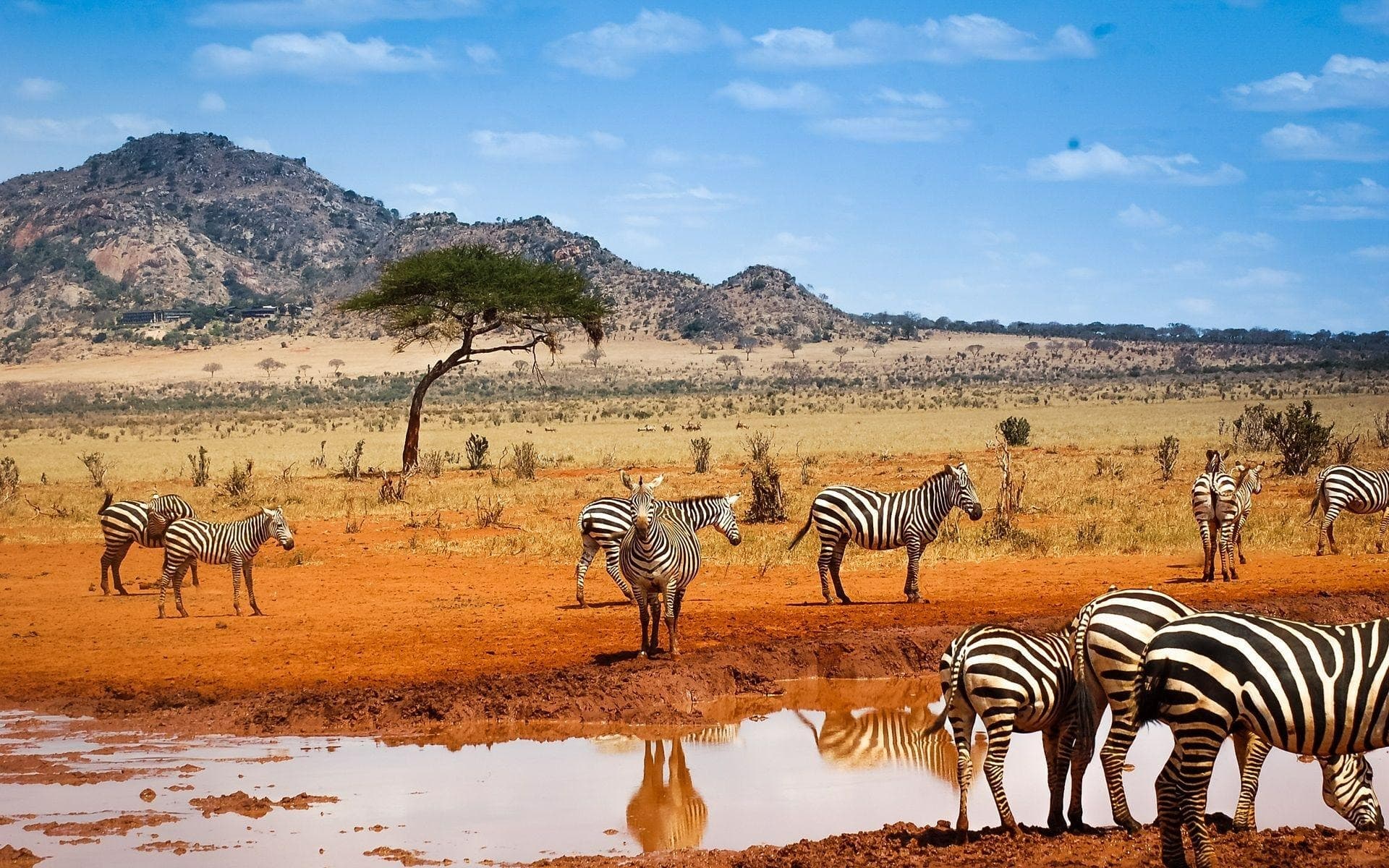 Namibia im privaten 4x4 — Luxus