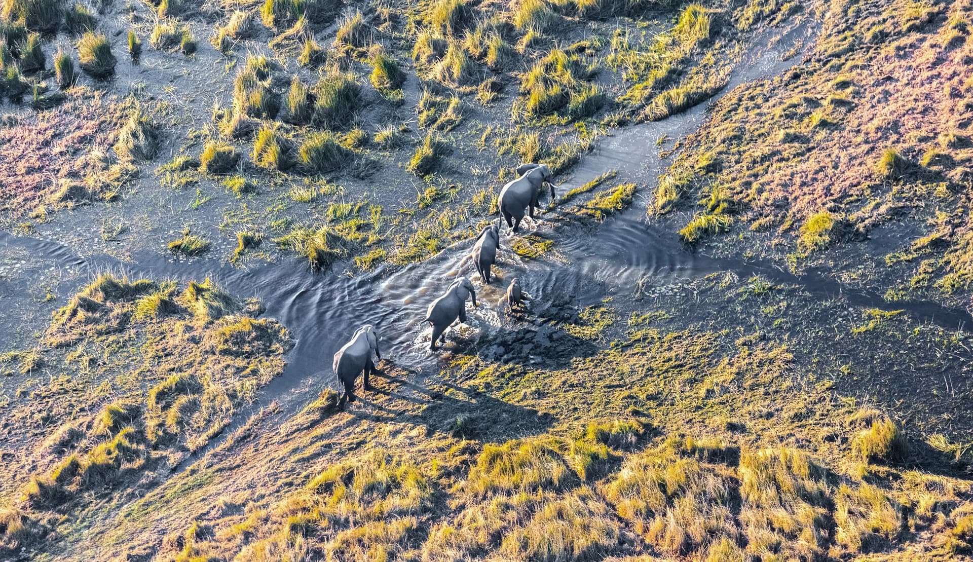 Das Moremi-Reservat / Süden des Okavango-Deltas
