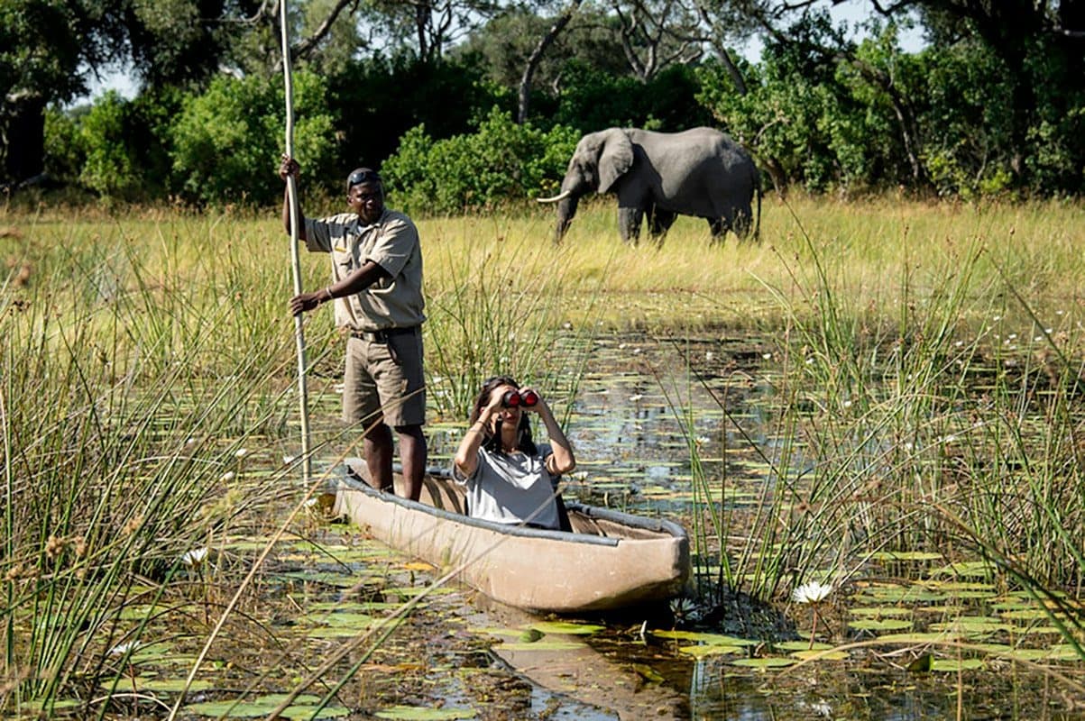 Delta des Okavango (die Kwara-Konzession)