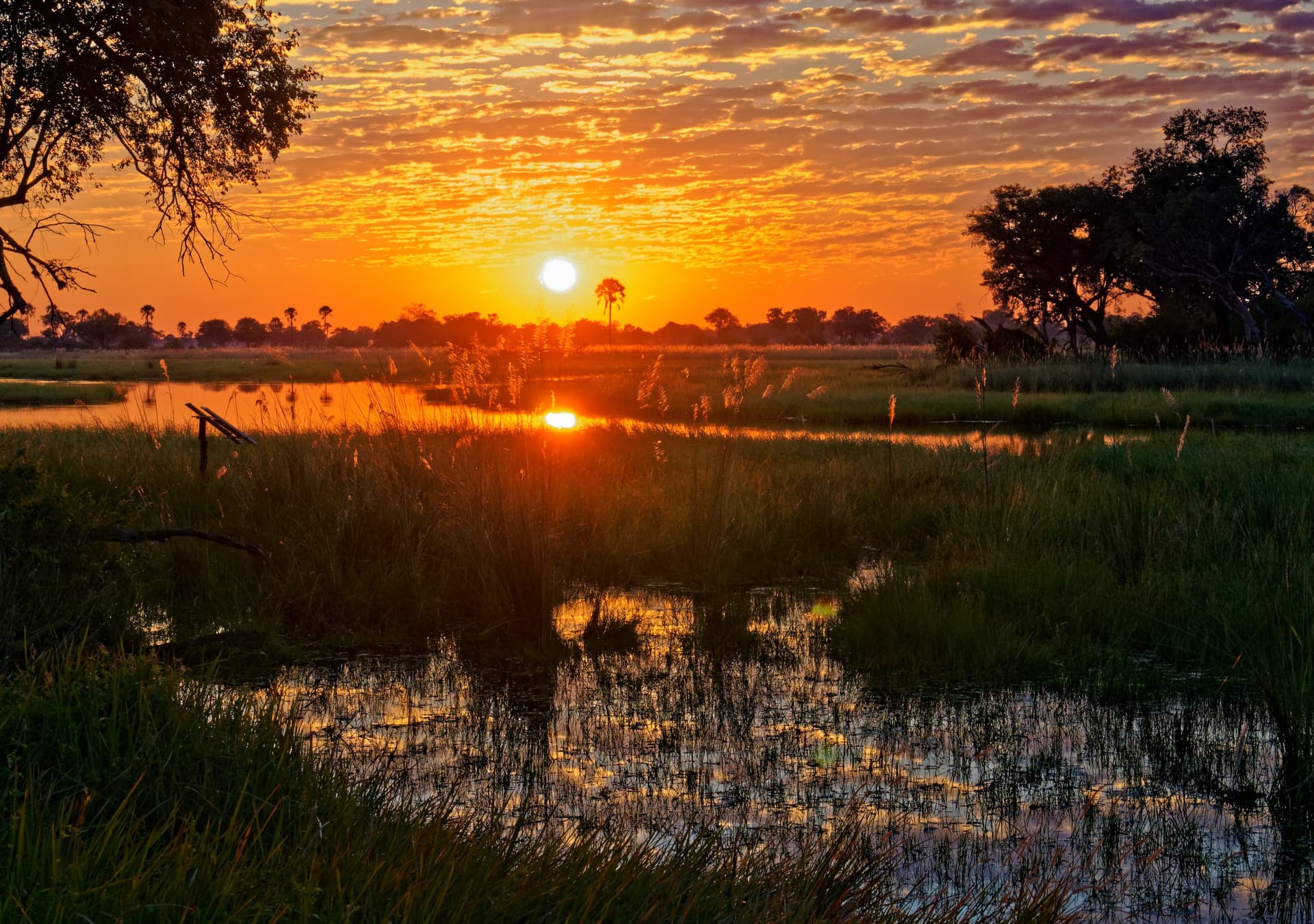 Okavango-Delta