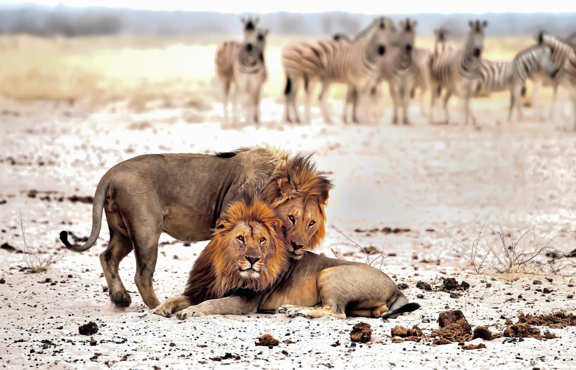 Etosha