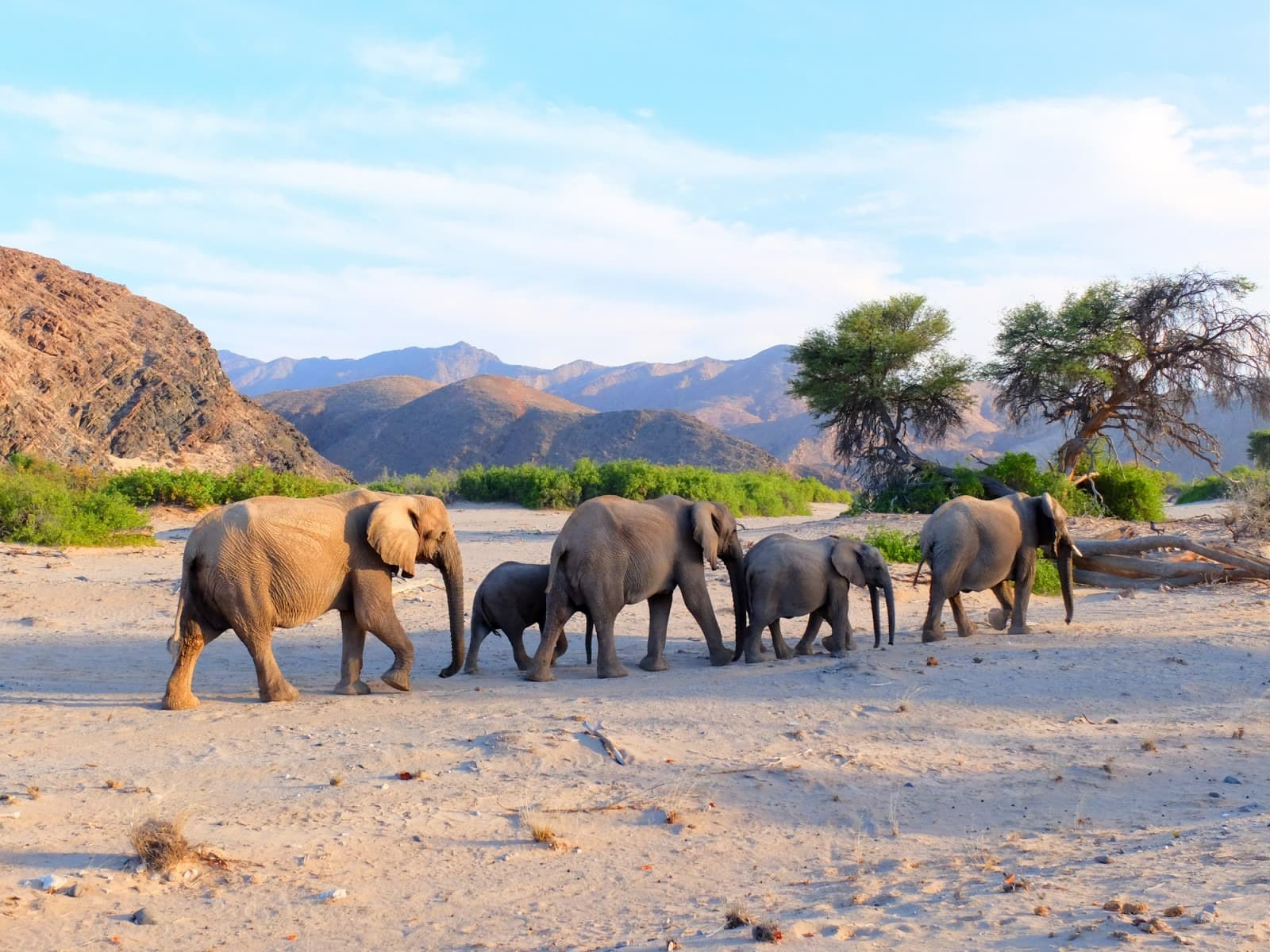 Damaraland