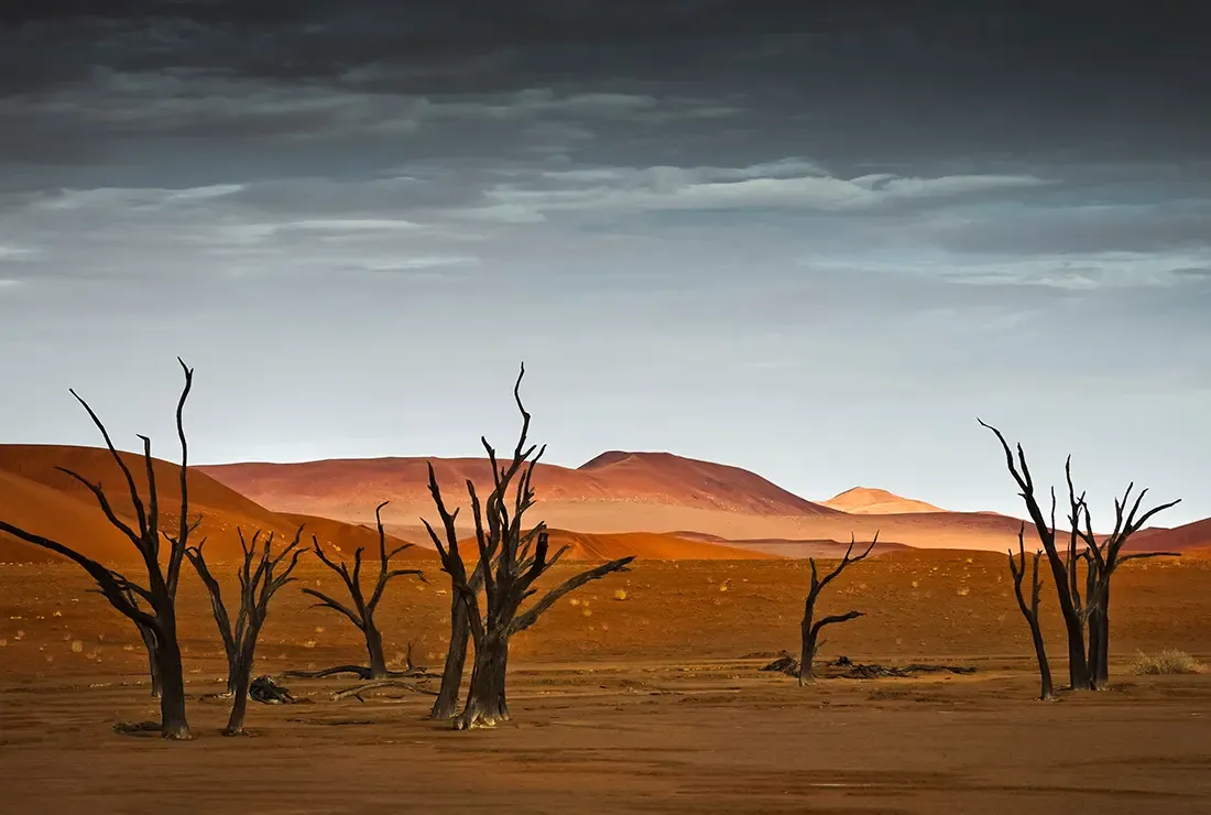 Namib-Wüste