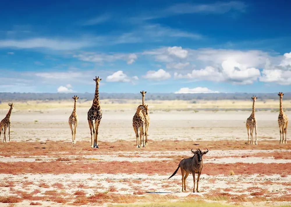 Etosha Nationalpark