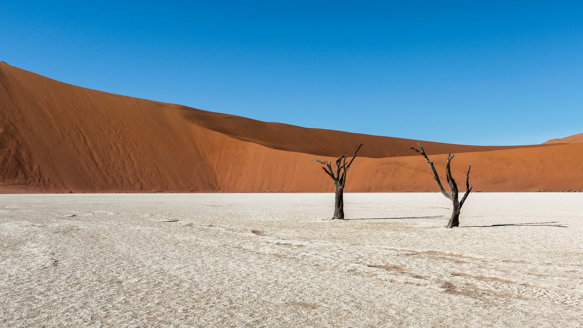 NamibRand Naturschutzgebiet / Namib Wüste