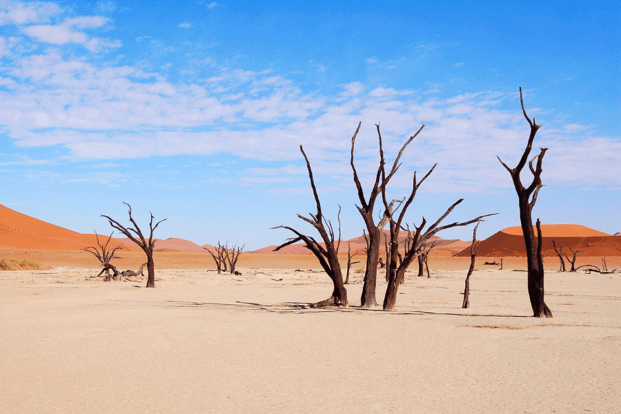 Wüste der Namibia