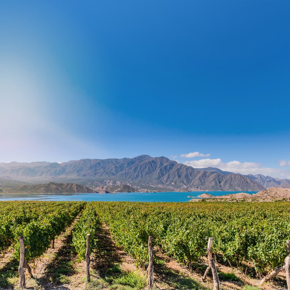 Mendoza