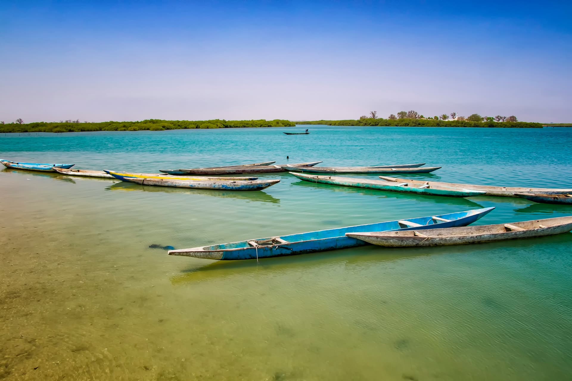 Delta du Saloum authentique : écolodge Les Barracudas, mangrove et bolongs
