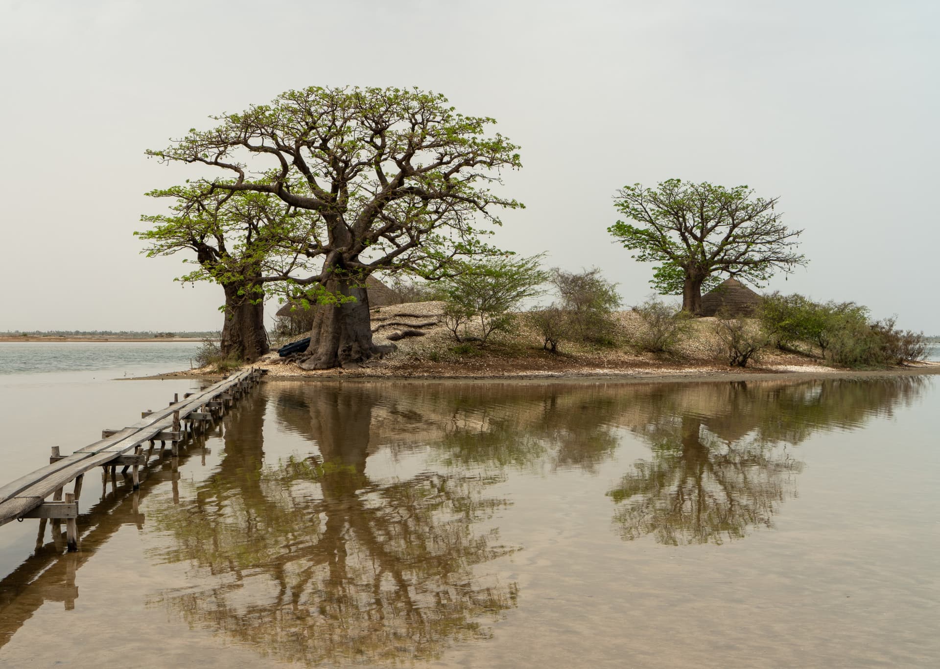 Immersion au Pays de la Teranga