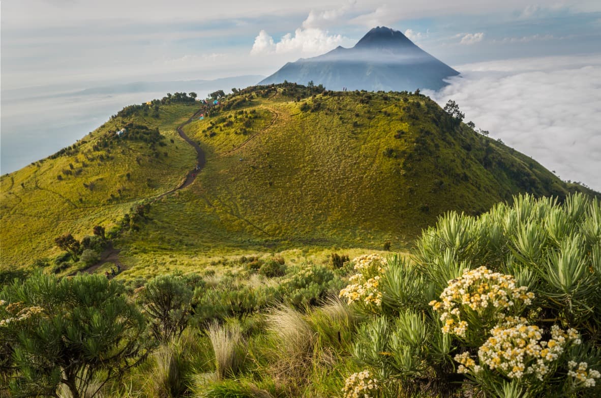 Merbabu: Aufstieg zum "Berg der Asche"