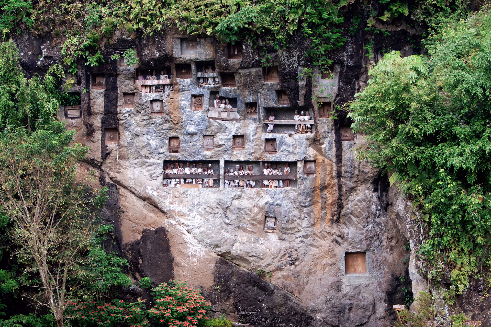 Toraja-Bestattungsrituale & majestätische Vulkane von Java