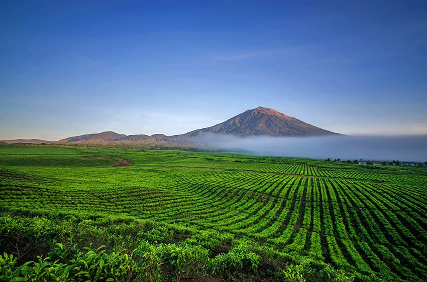 Sumatra: das geheime Tal