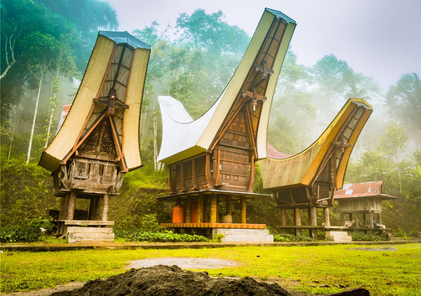 Trek und Eintauchen bei den Toraja