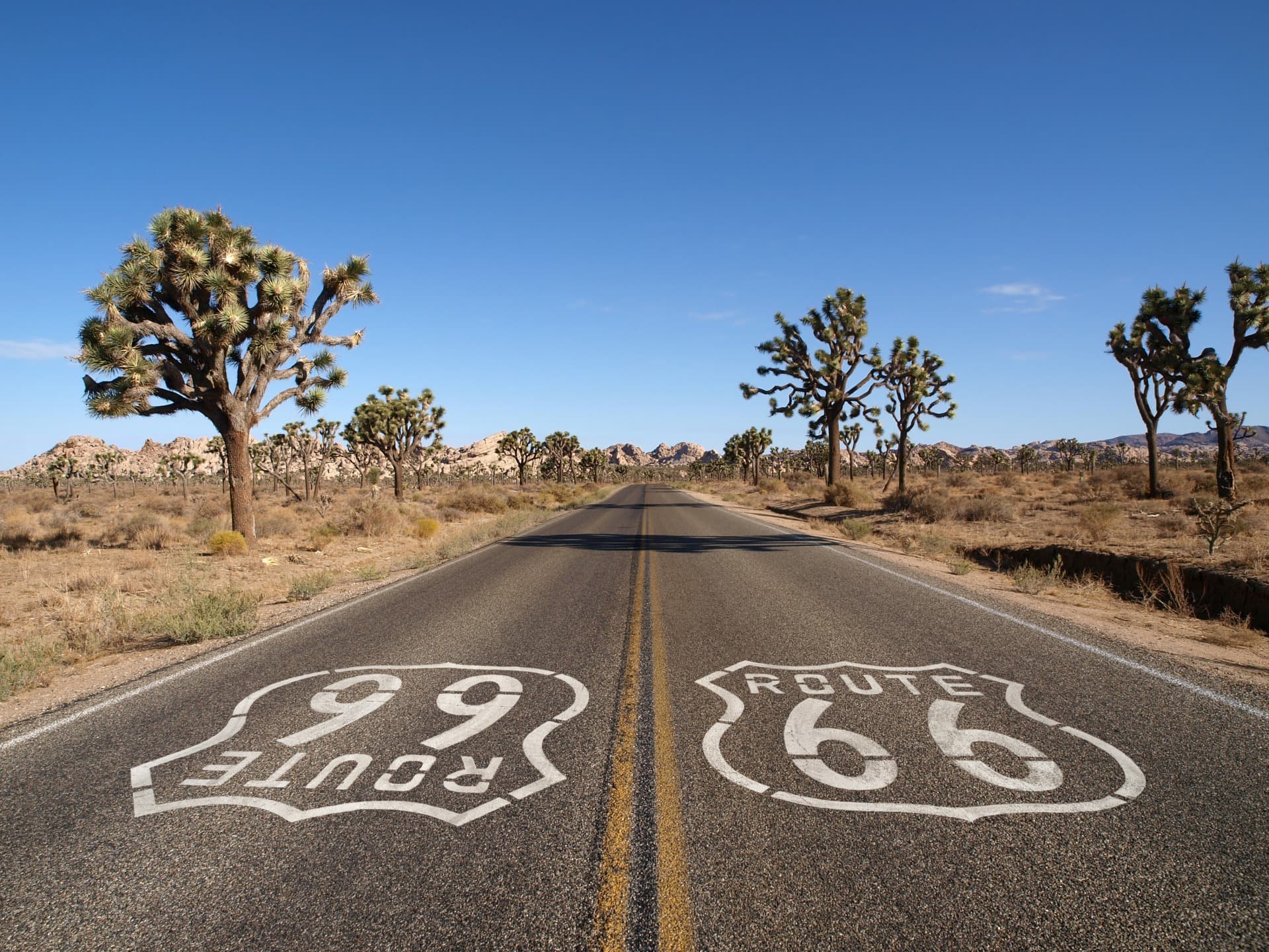 Die legendäre Route 66