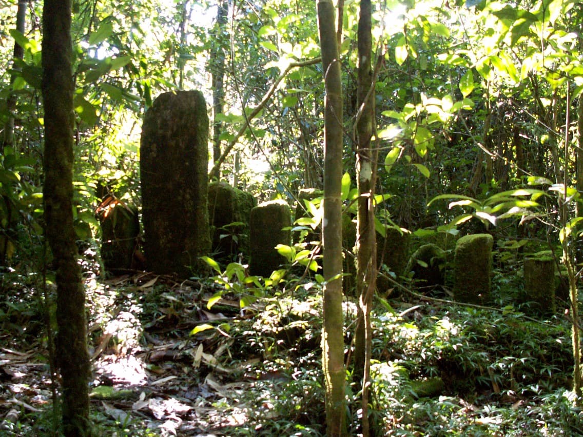 Ende der Wanderung im Regenwald