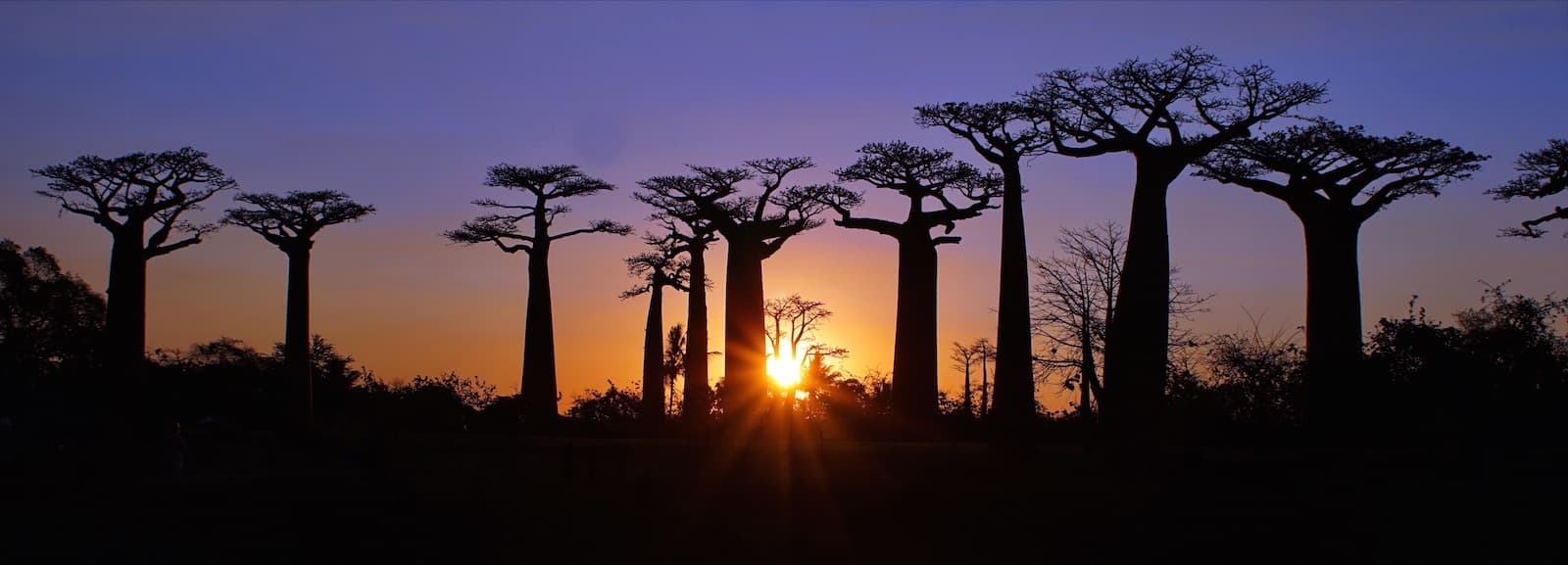 A la découverte de Madagascar de l'Ouest à l'Est