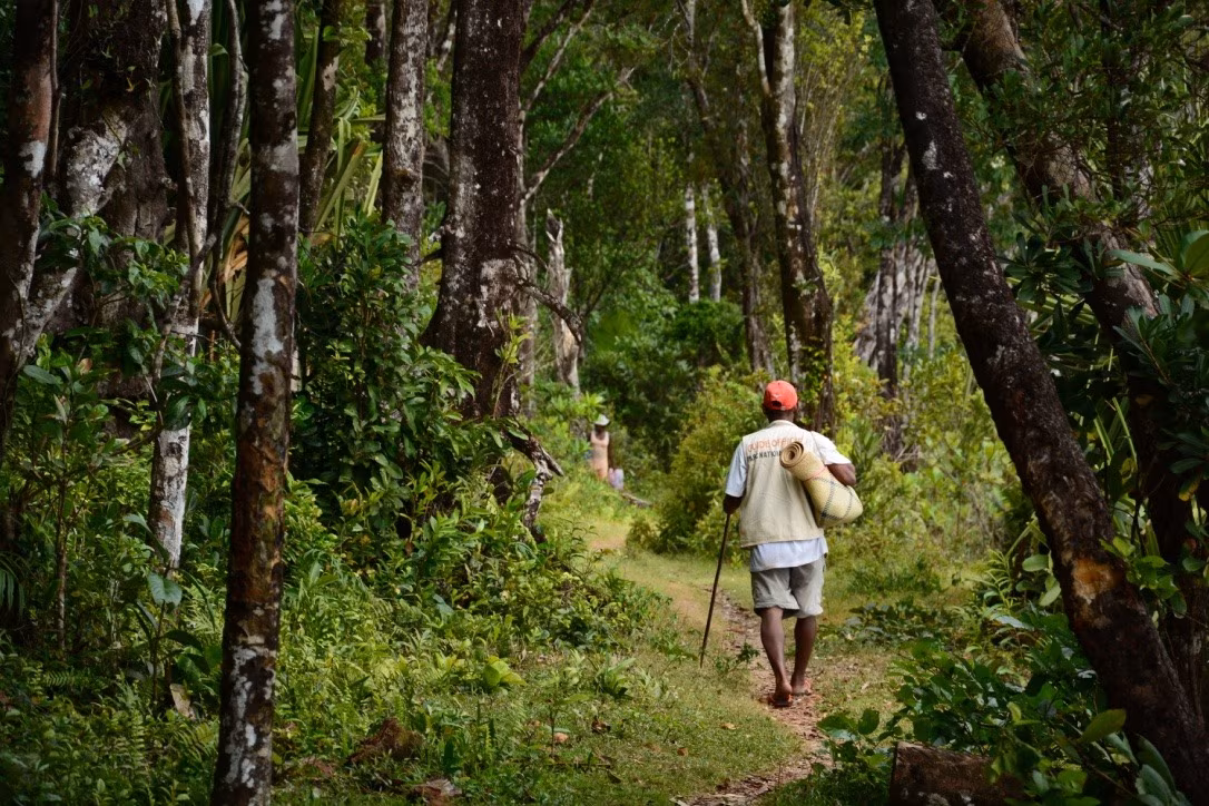Außergewöhnliche Wanderungen im Kap Masoala
