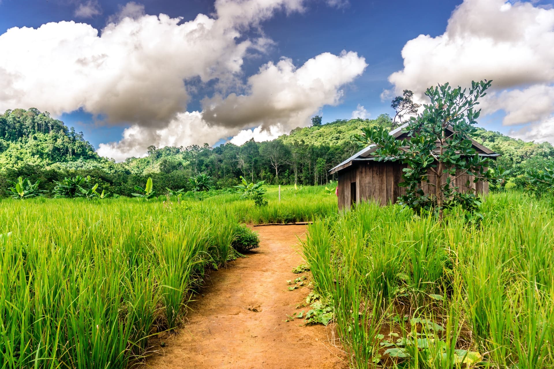 Die Provinz Mondulkiri