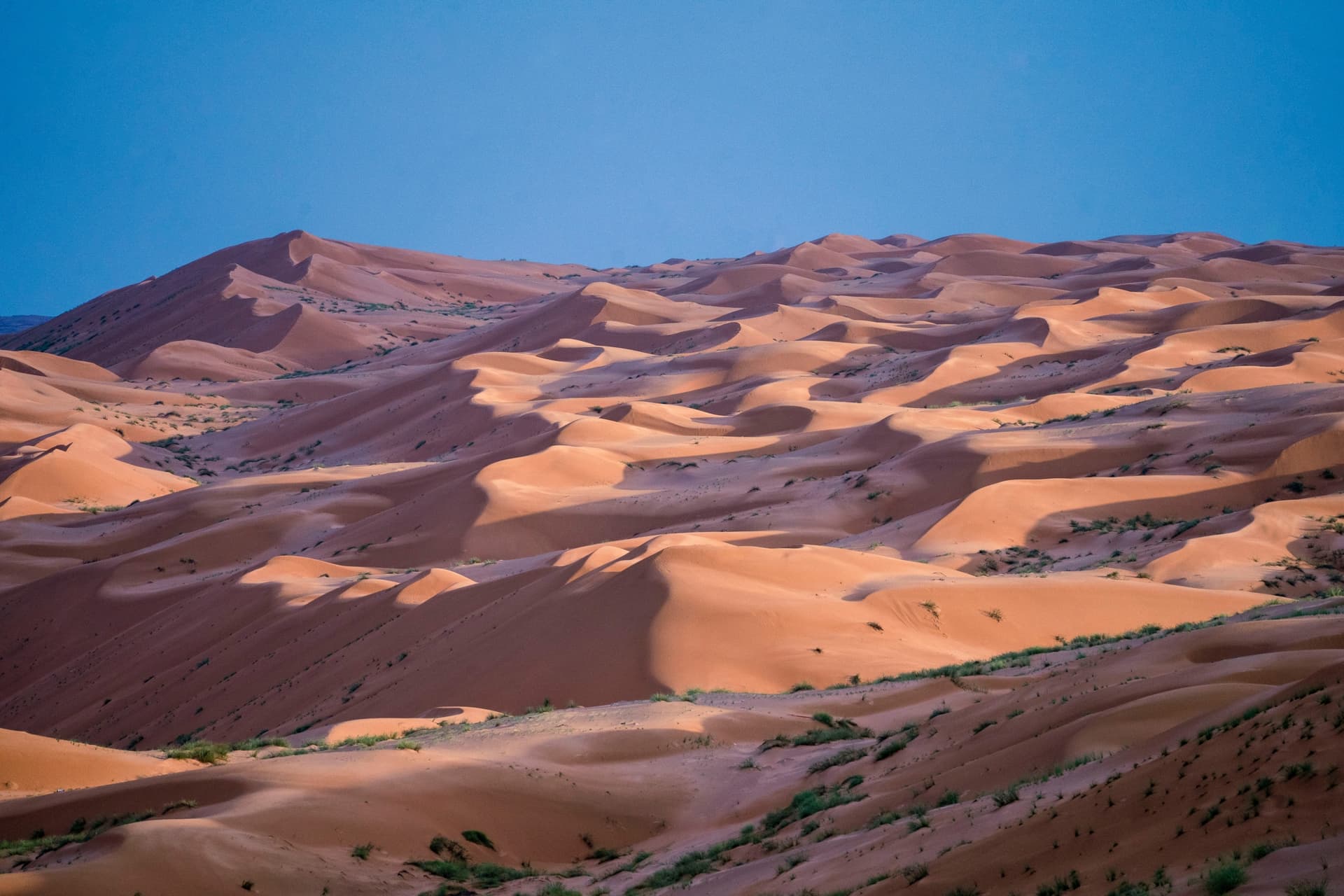 Les couleurs d'Oman