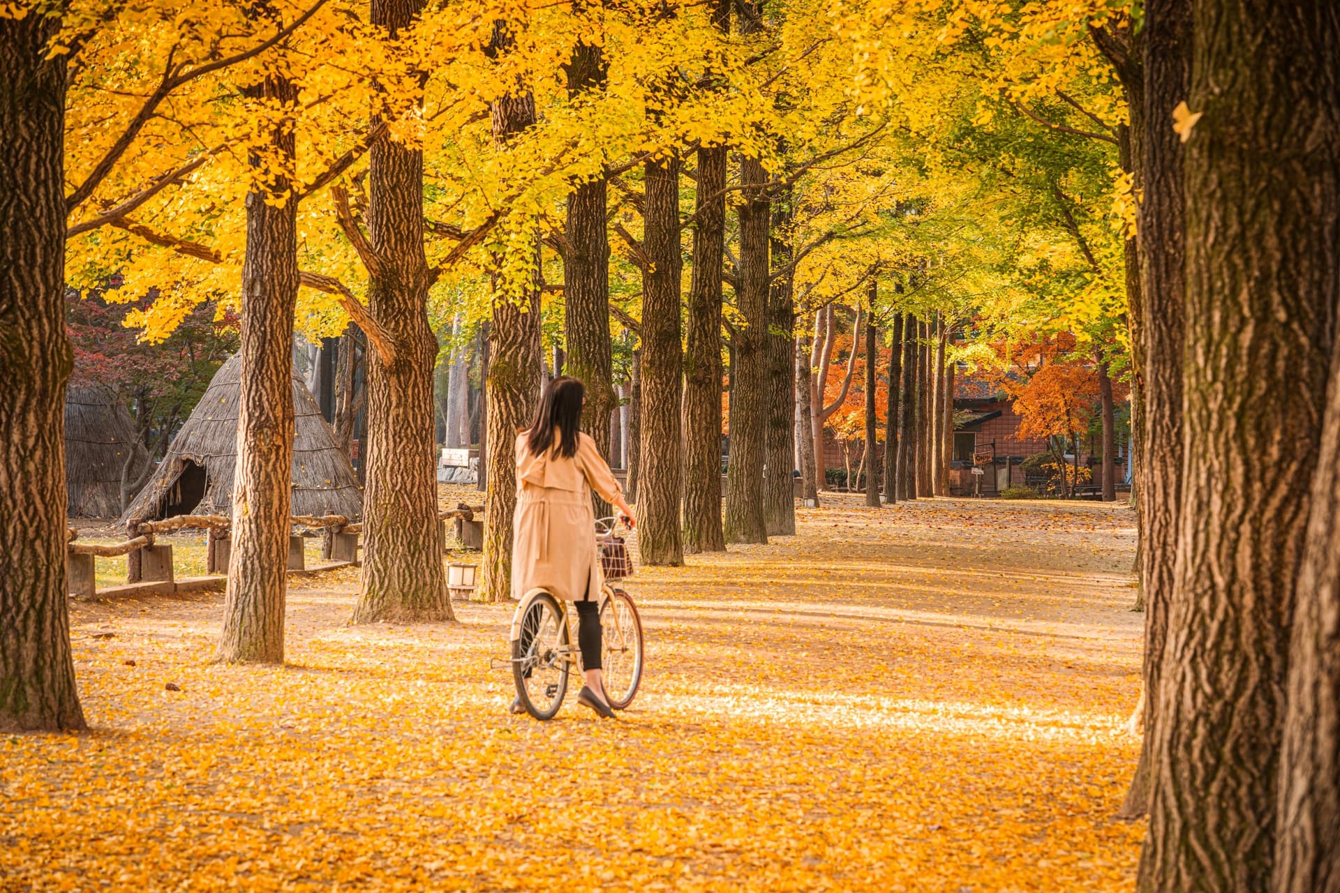 Herbstfarben in Korea