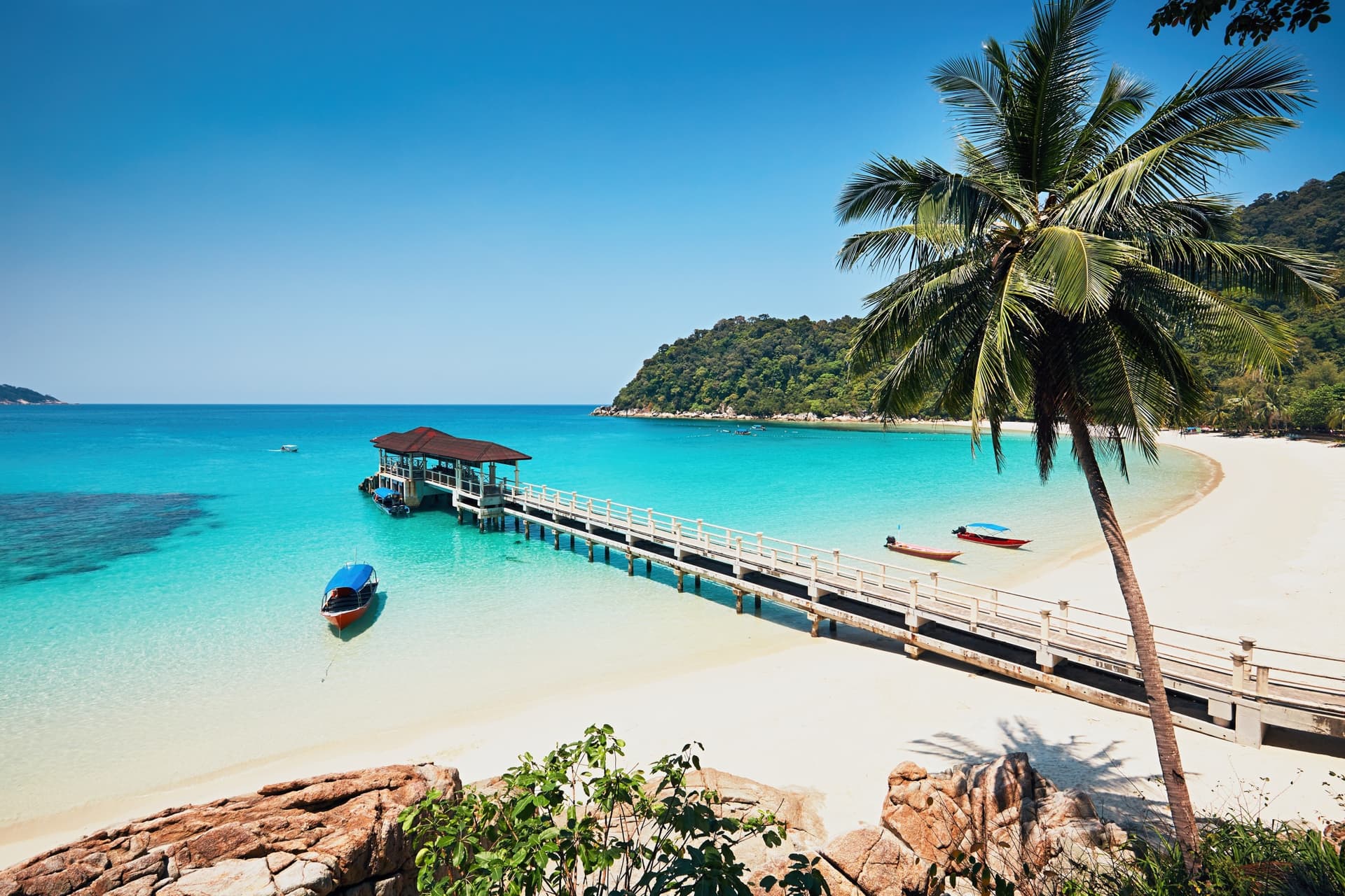 Malaisie : villes, jungle et îles