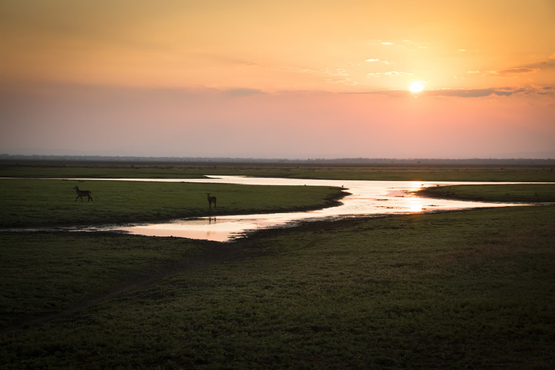 Gorongosa & Südmosambik : Eintauchen zwischen Land und Meer