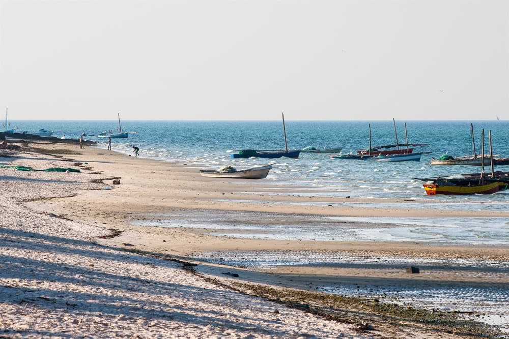 Mozambique : L'Essence du Nord et du Sud en un Seul Voyage