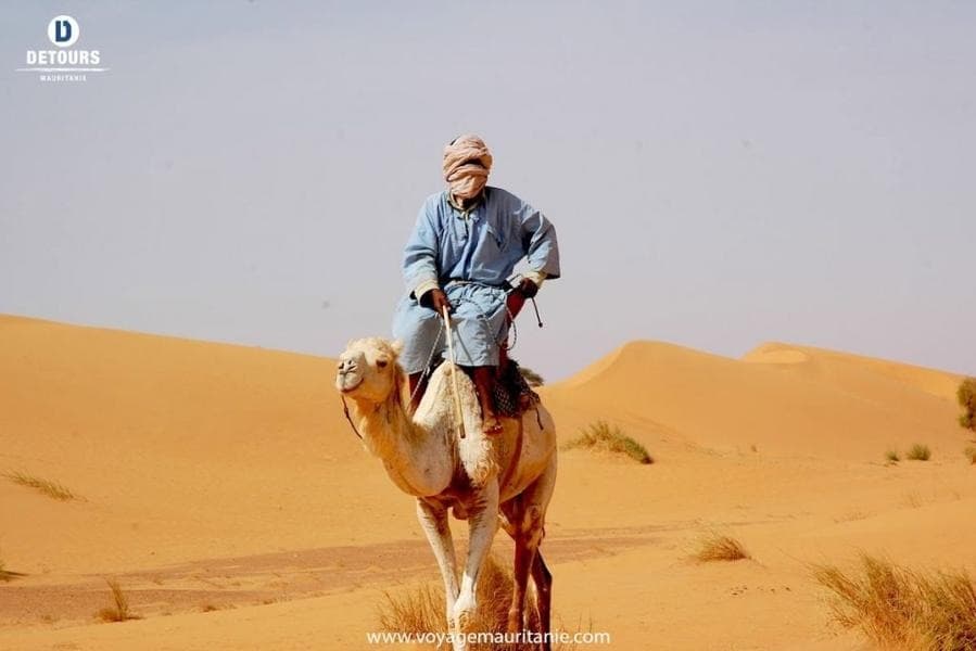 Méharée en selle dans les dunes de l'Erg Warane et Chinguetti, variations dans les sables