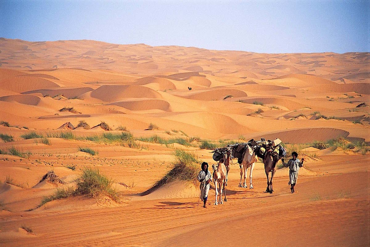 Dunes et palmeraies - Mosaïque saharienne en Adrar occidental