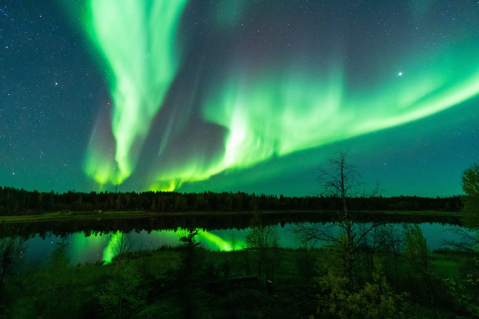 Unter den Polarlichtern der Großen Wildnis