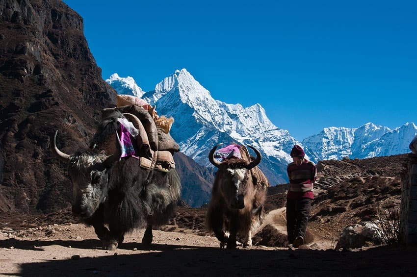 Namche Bazaar: die Hauptstadt der Sherpa