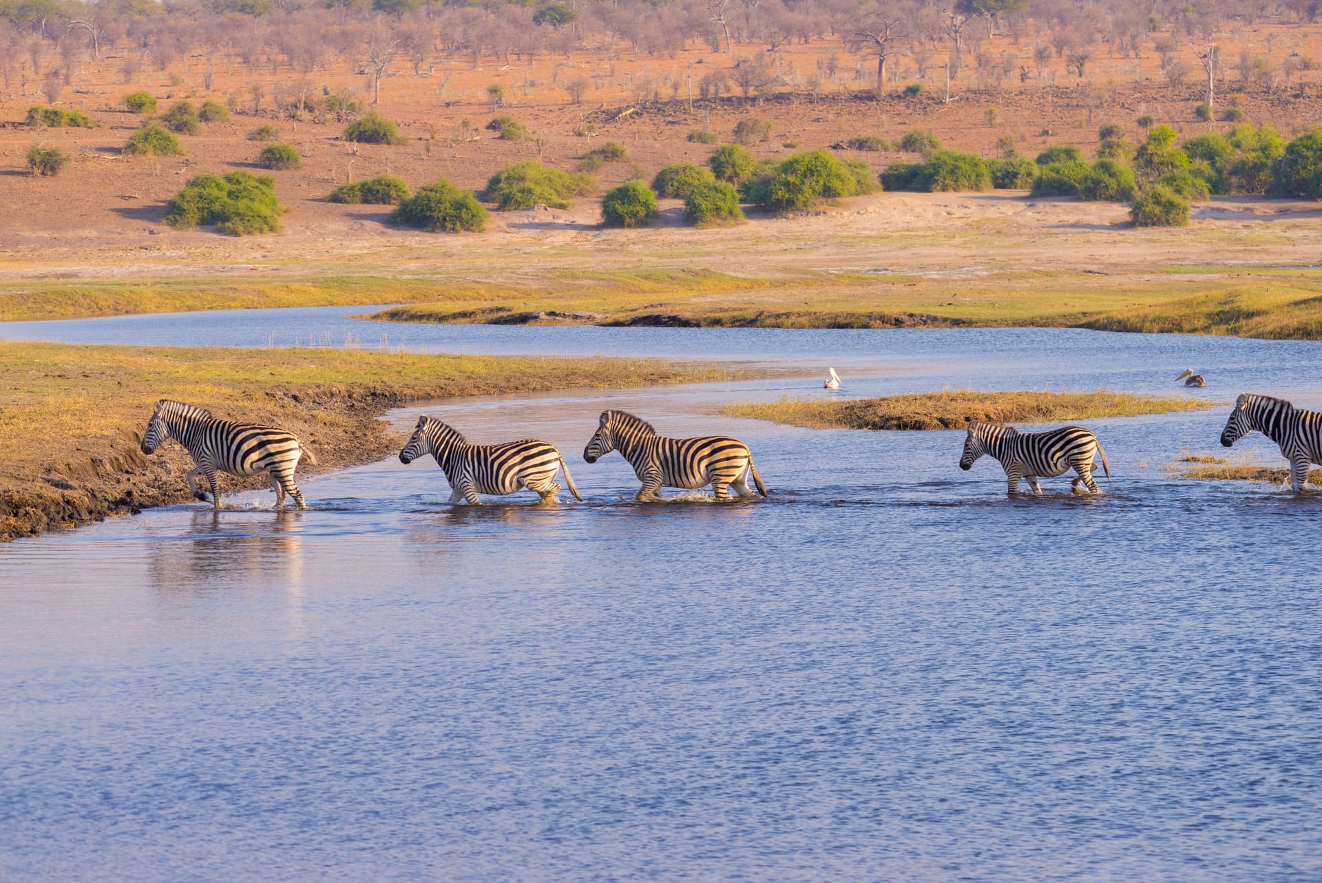 Wilder Zimbabwe: zwischen Safaris, Victoria-Fällen und dem Chobe-Fluss