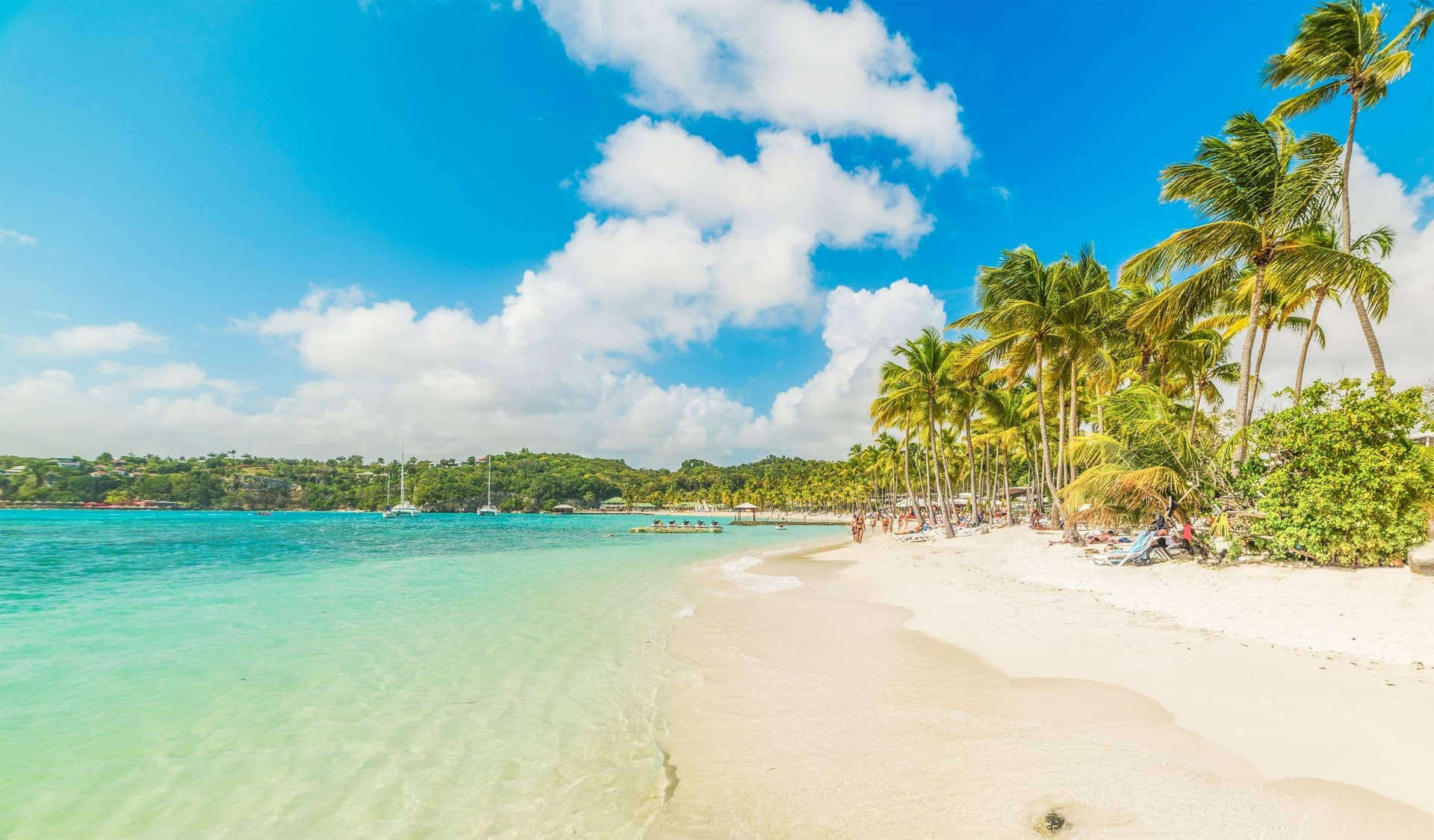 Kombiniertes Guadeloupe, Martinique, die Schwesterinseln