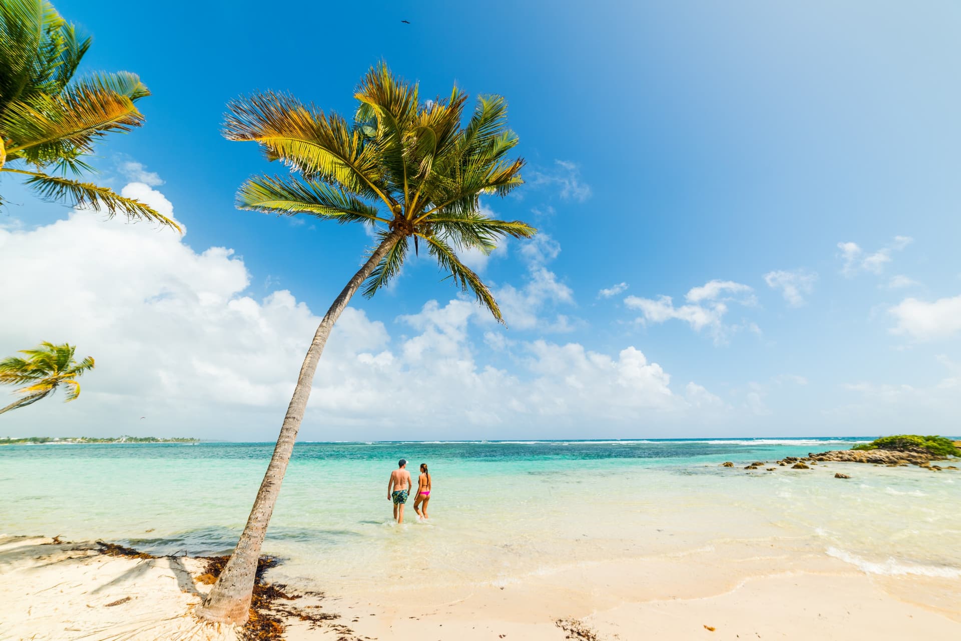 Guadeloupe-Dominique, geheimes Fluchtgetriebe für Verliebte