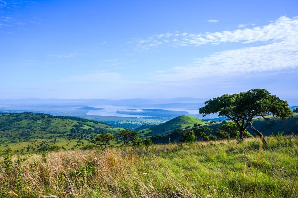 Safari au Rwanda, pays des milles collines