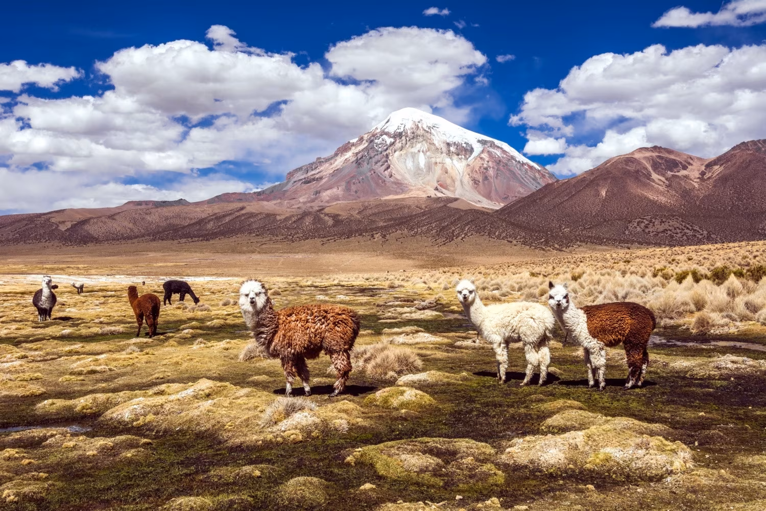 Wilde Weiten Boliviens