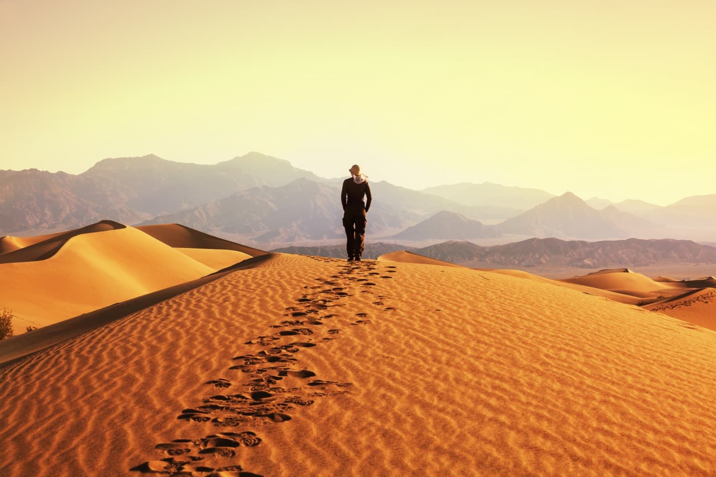 Dunes de khongor