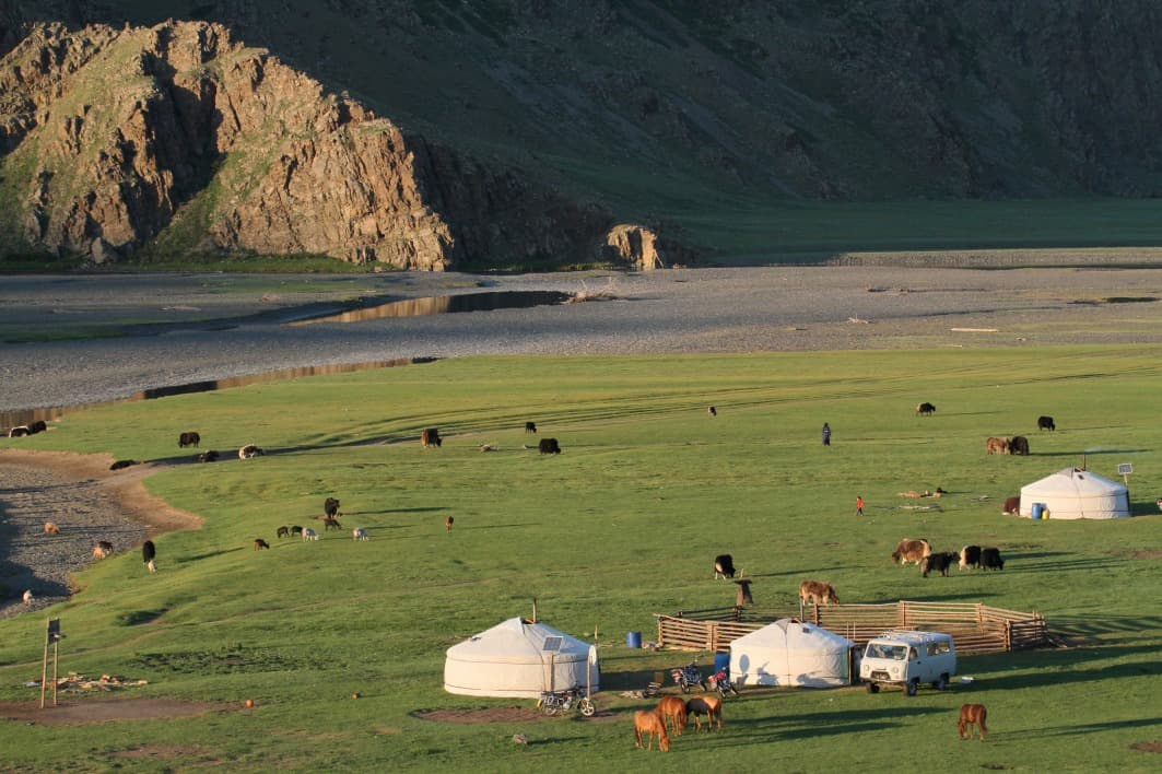 Transhumance nomade : le passage vers les pâturages d'été