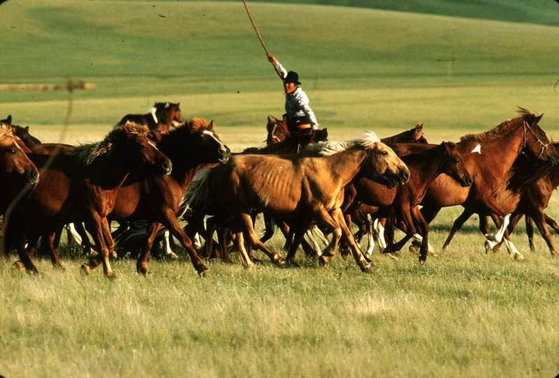 Wunder der Mongolei