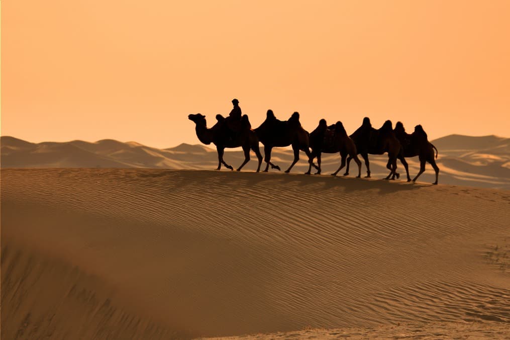 Die drei Wunder der Gobi