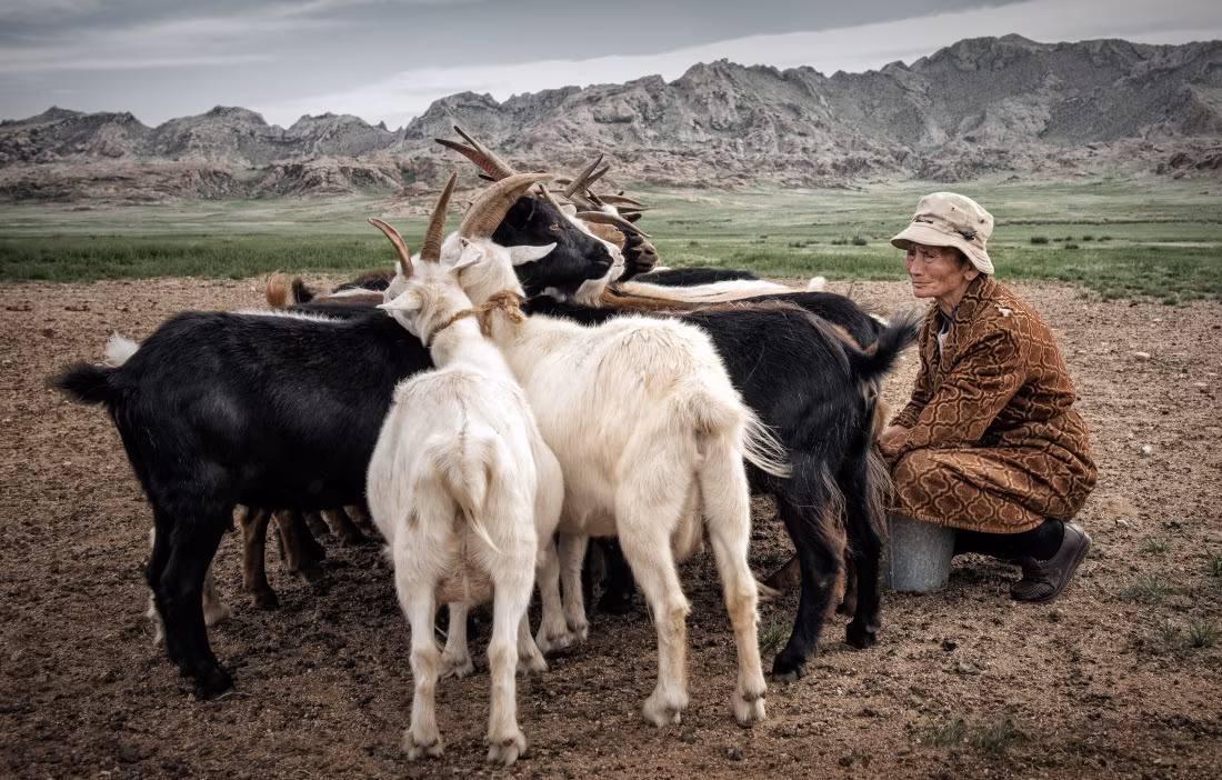 Wanderung durch die Mongolei