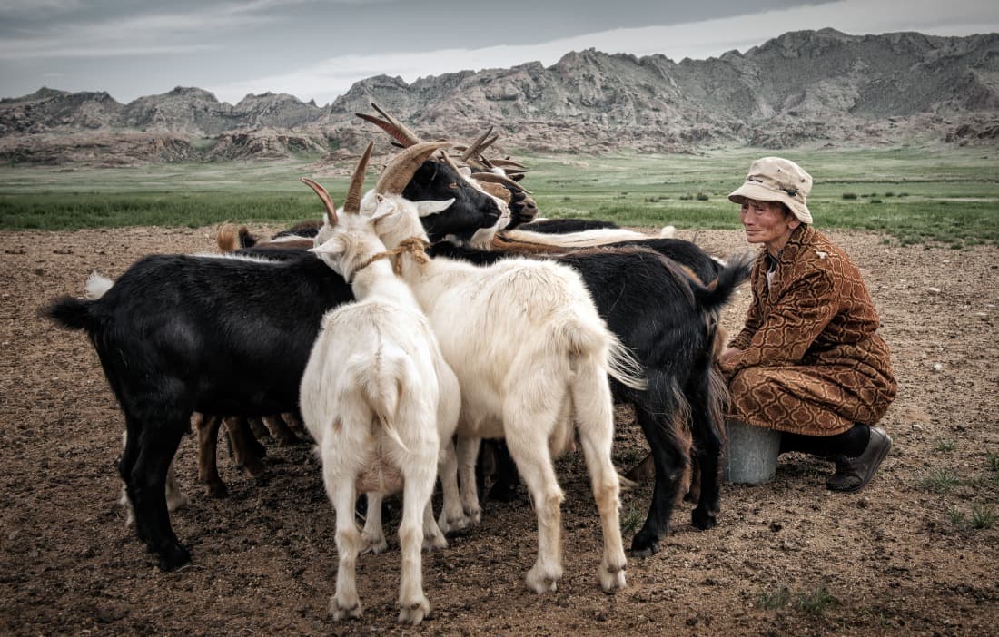 Wanderung durch die Mongolei