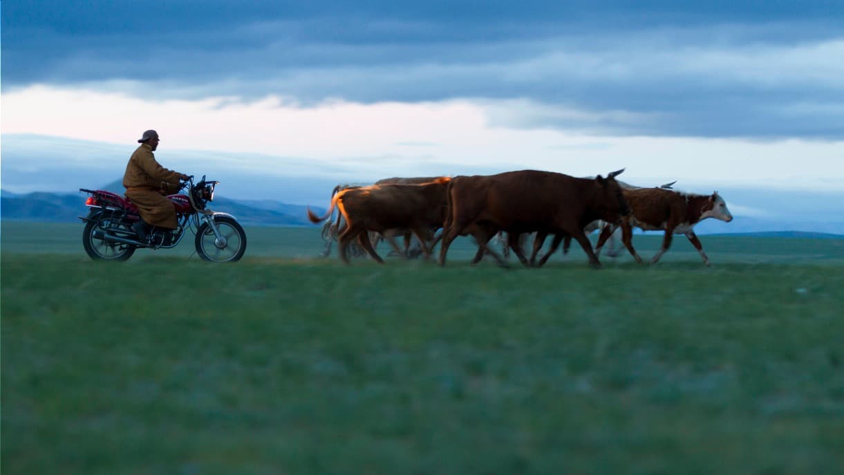 Vie nomade dans la vallée de l'Orkhon